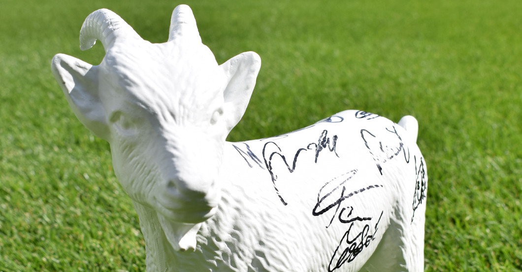 Köln Geißbock signiert   Köln Geißbock signiert