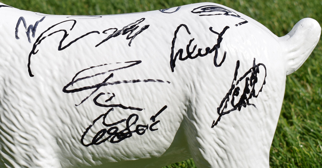 Köln Geißbock signiert   Köln Geißbock signiert