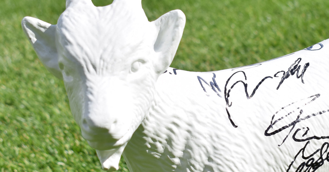 Köln Geißbock signiert   Köln Geißbock signiert