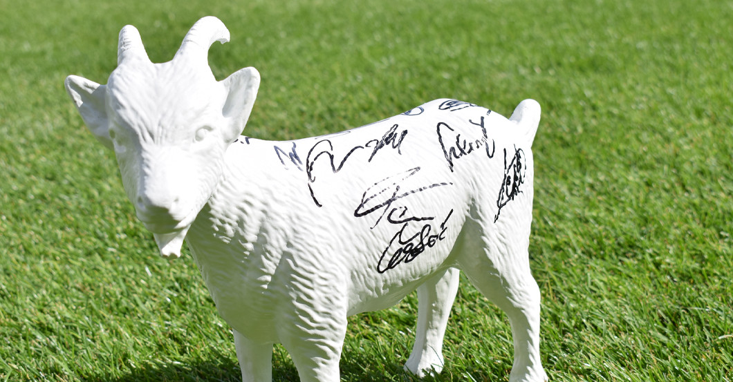 Köln Geißbock signiert   Köln Geißbock signiert