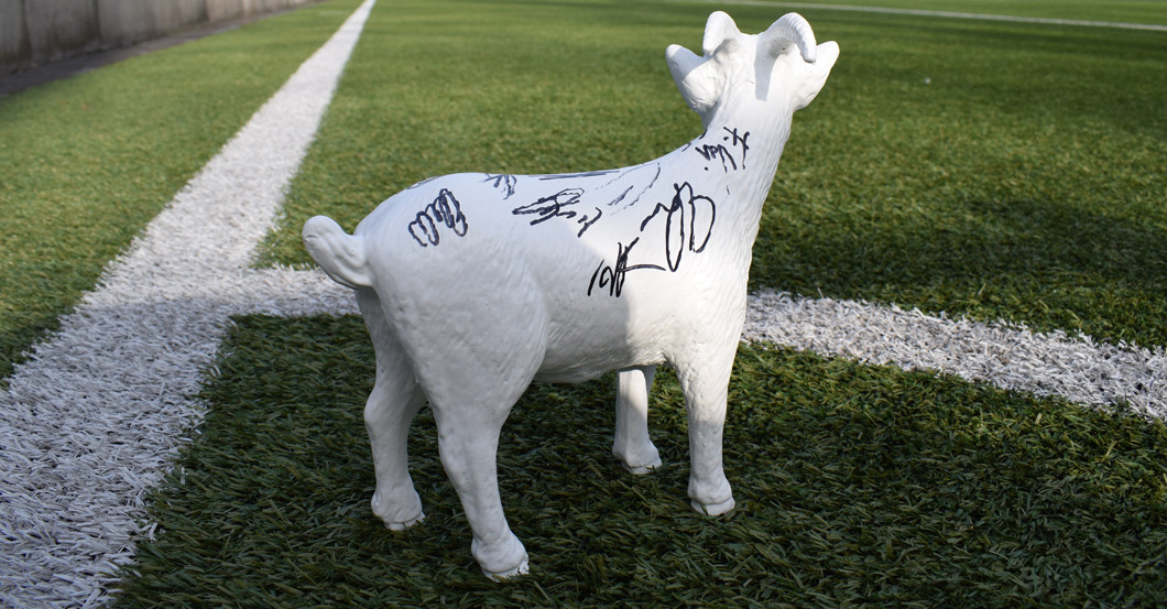 Köln Gipsgeißbock   Köln Gipsgeißbock