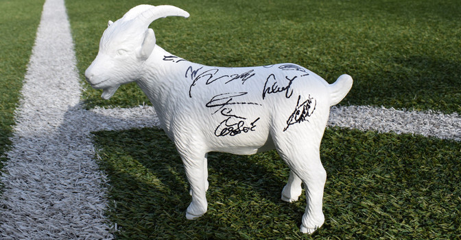 Köln Gipsgeißbock   Köln Gipsgeißbock