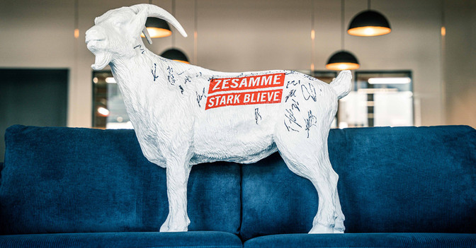  Köln Hennes signiert 