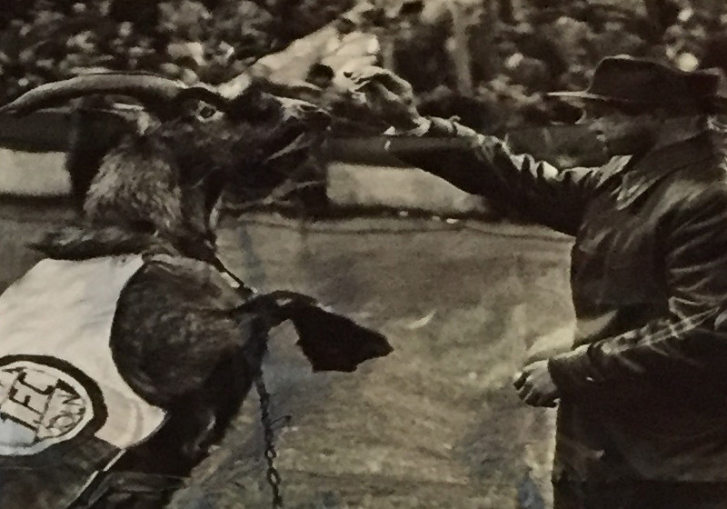 Köln Polaroid Hennes    Köln Polaroid Hennes