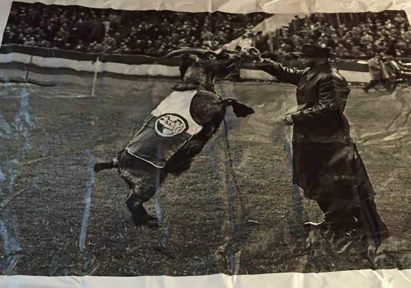 Köln Polaroid Hennes    Köln Polaroid Hennes