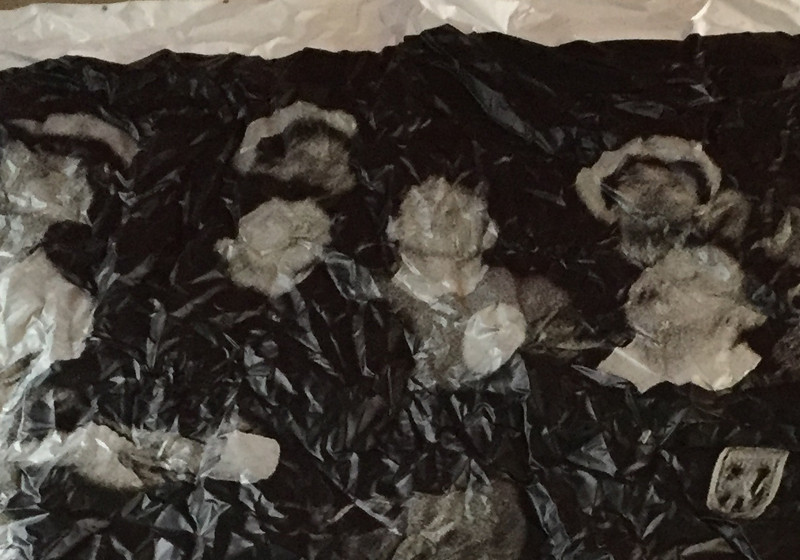  Köln Polaroid Münzwurf  