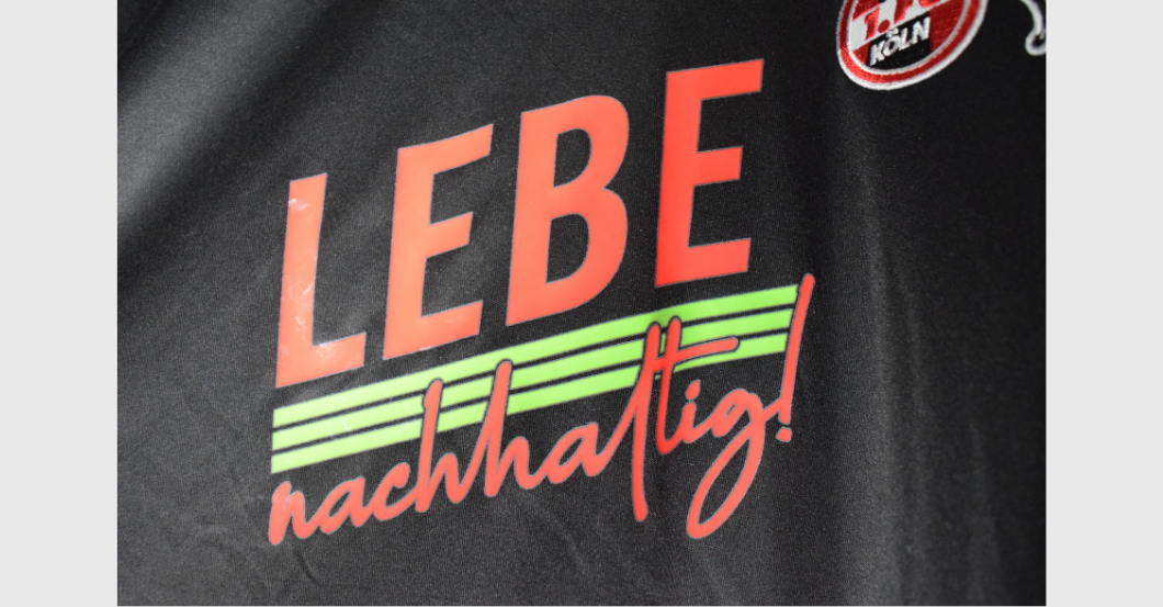 Köln Schwäbe Sondertrikot   Köln Schwäbe Sondertrikot