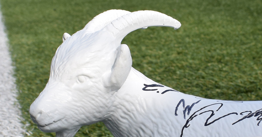 Köln signiert Geißbock   Köln signiert Geißbock