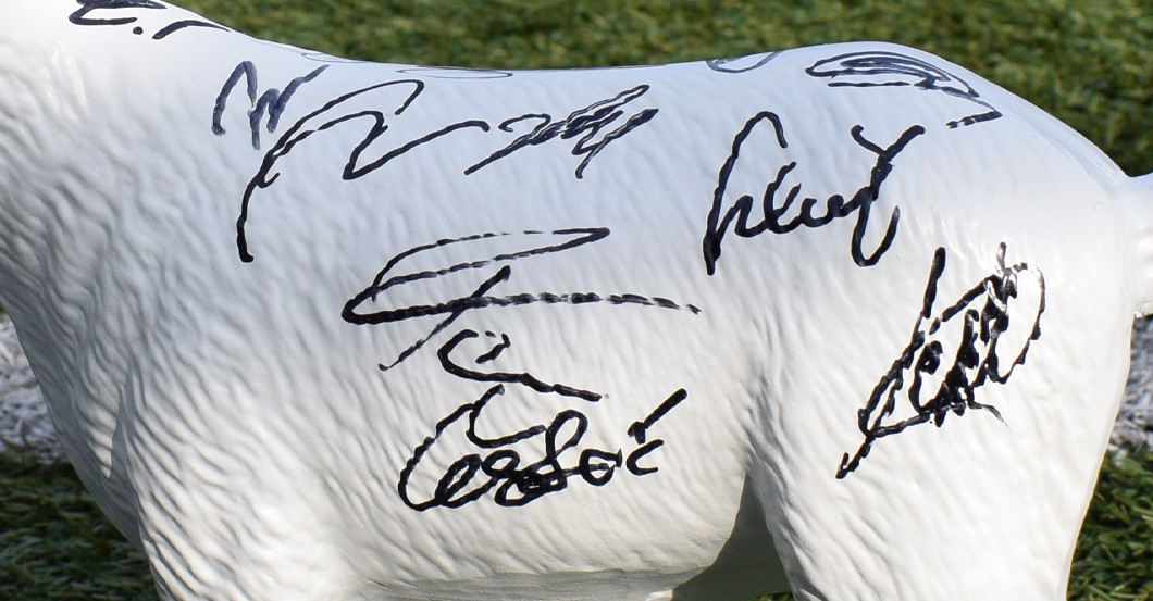 Köln signiert Geißbock   Köln signiert Geißbock