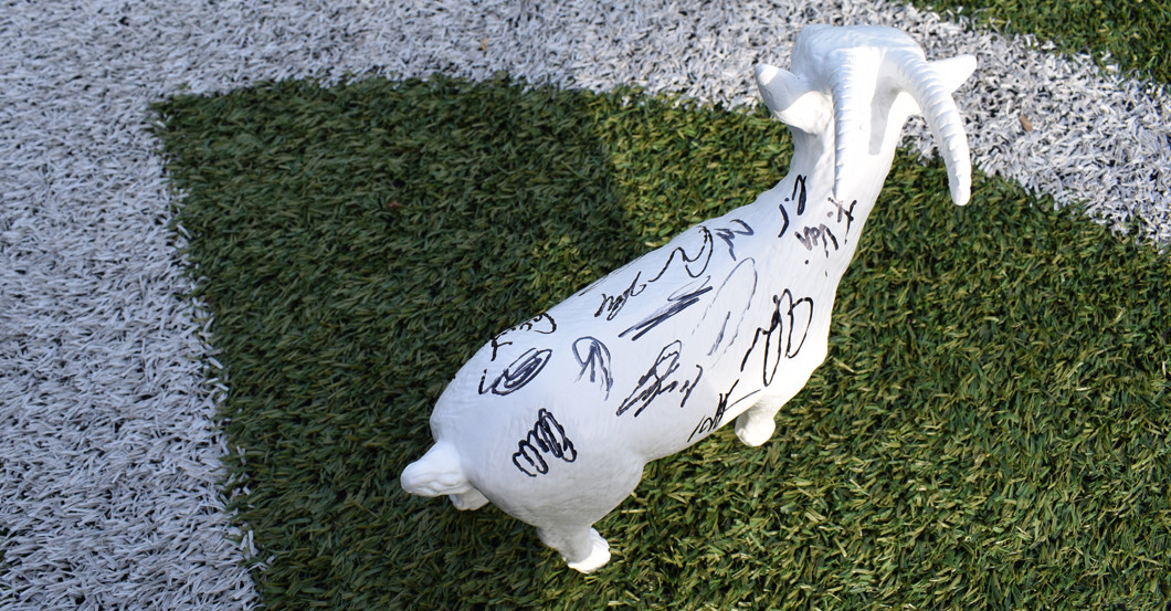 Köln signiert Geißbock   Köln signiert Geißbock