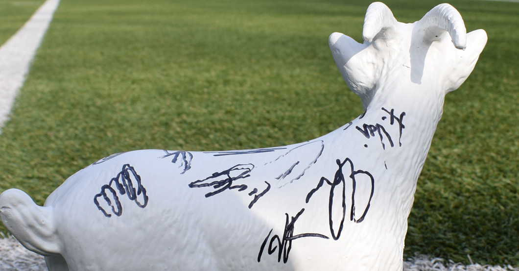 Köln signiert Geißbock   Köln signiert Geißbock