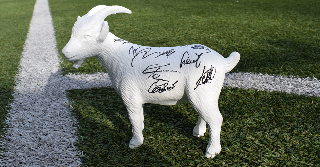 Köln signiert Geißbock   Köln signiert Geißbock