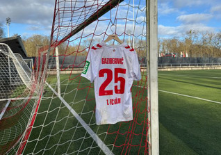  Köln Trikot Gazibegovic 