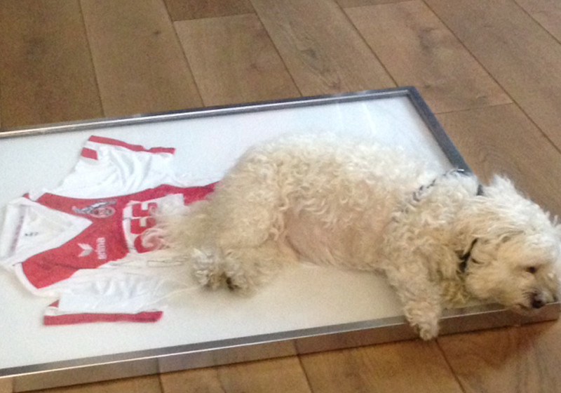  Köln Trikot signiert 