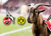  Köln vs. BVB neben Hennes 