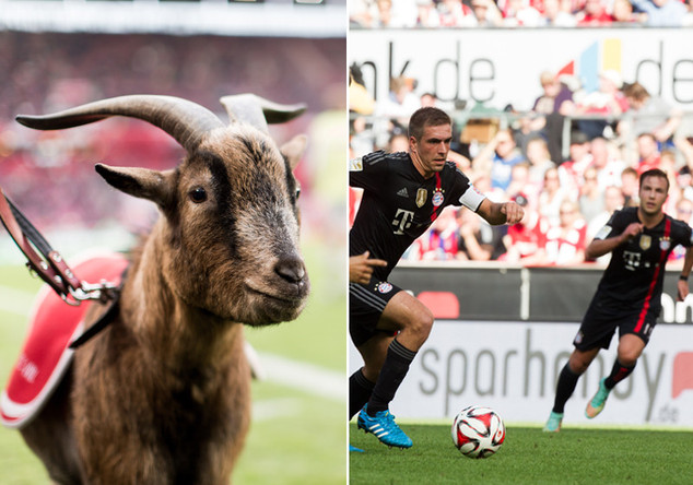 Köln vs. FCB neben Hennes   Köln vs. FCB neben Hennes