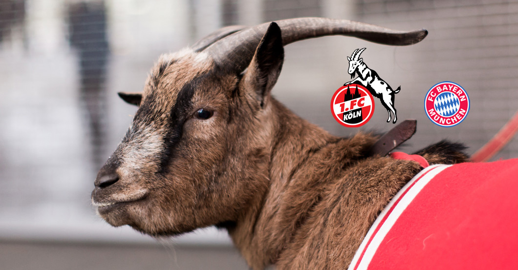  Köln vs. FCB neben Hennes 