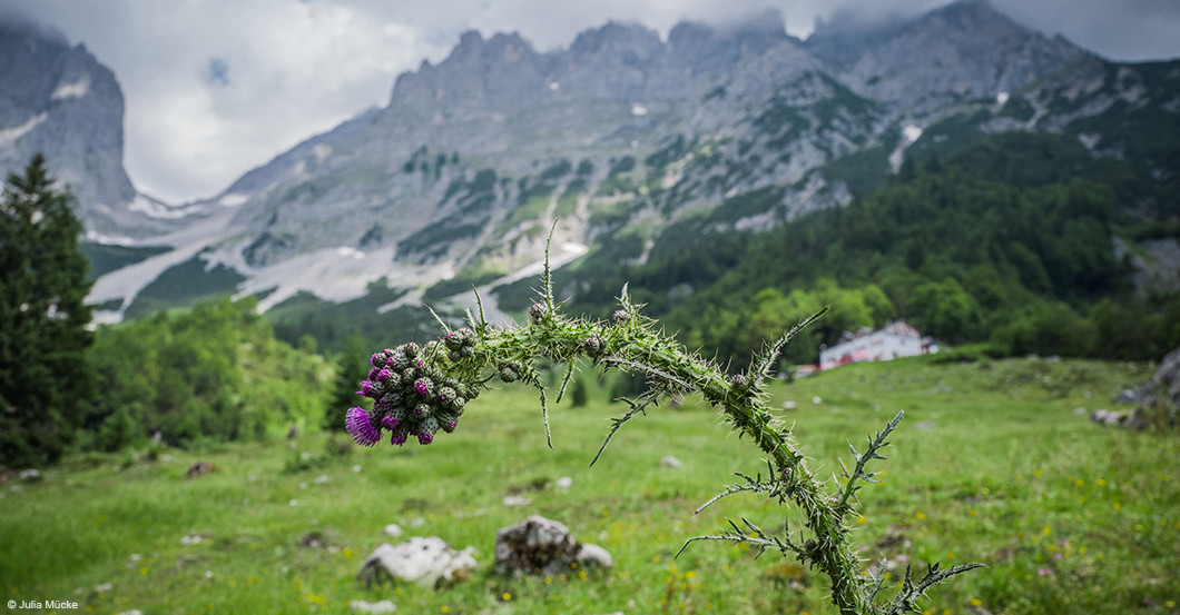 Komparse Bergdoktor   Komparse Bergdoktor