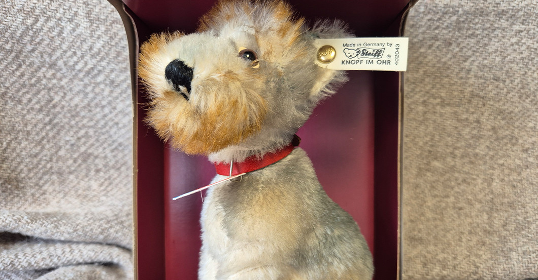 KP Rattler Terrier   KP Rattler Terrier