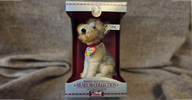 KP Rattler Terrier   KP Rattler Terrier