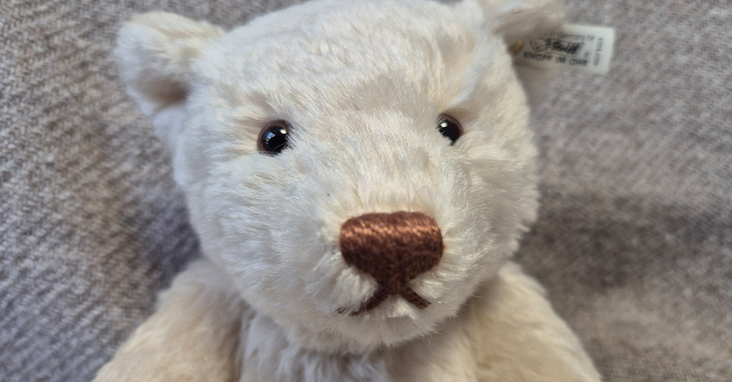 KP Steiff Bär 1921   KP Steiff Bär 1921