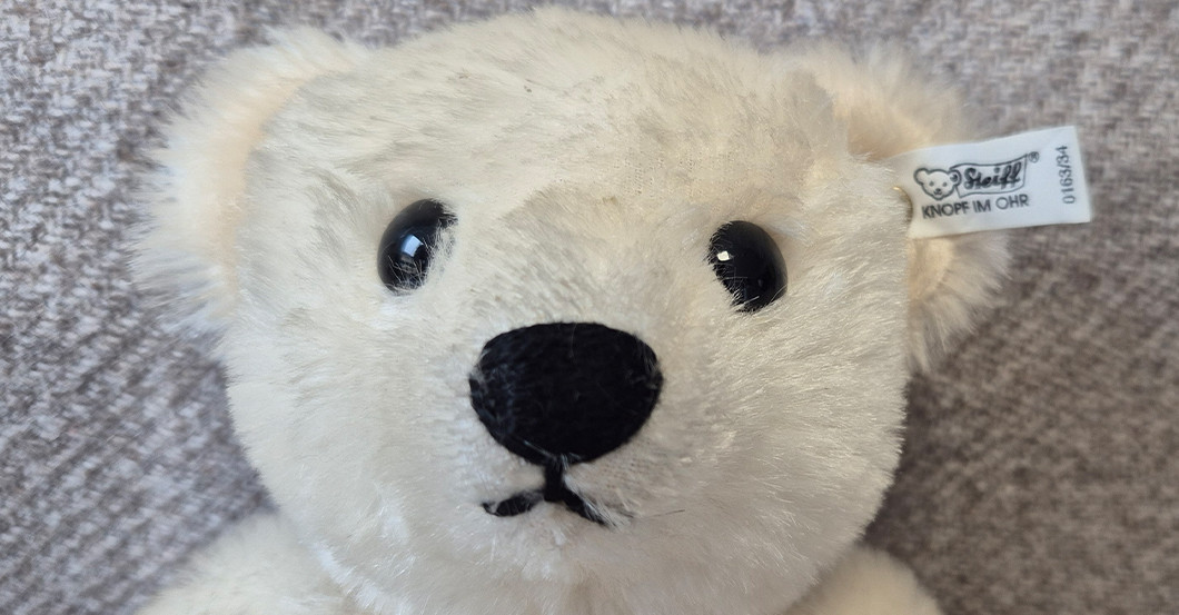 KP Steiff Bär weiß   KP Steiff Bär weiß