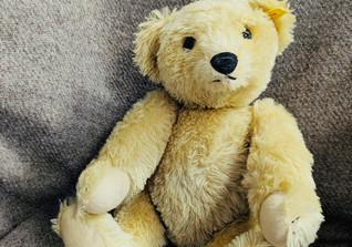  KP Steiff Teddy groß  