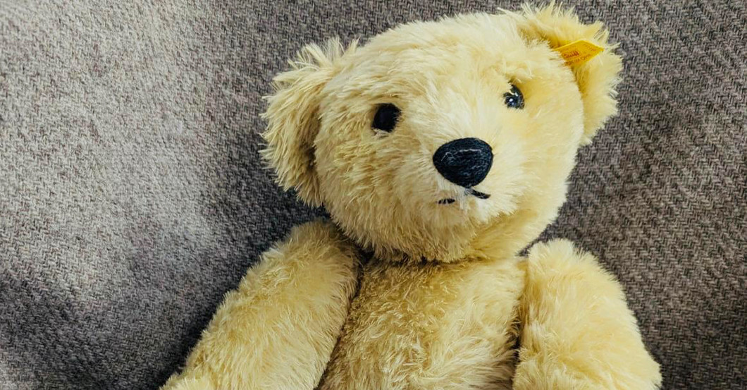 KP Steiff Teddy groß    KP Steiff Teddy groß