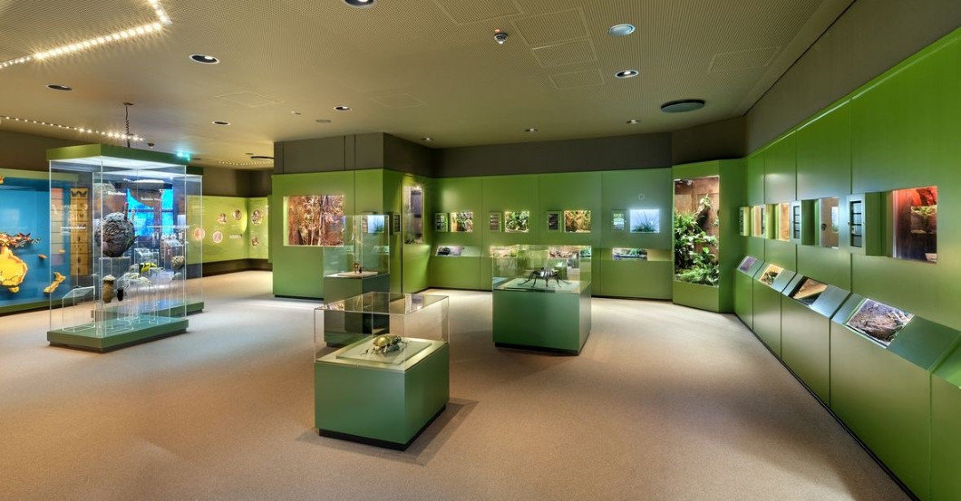 Krokodile füttern    Krokodile füttern