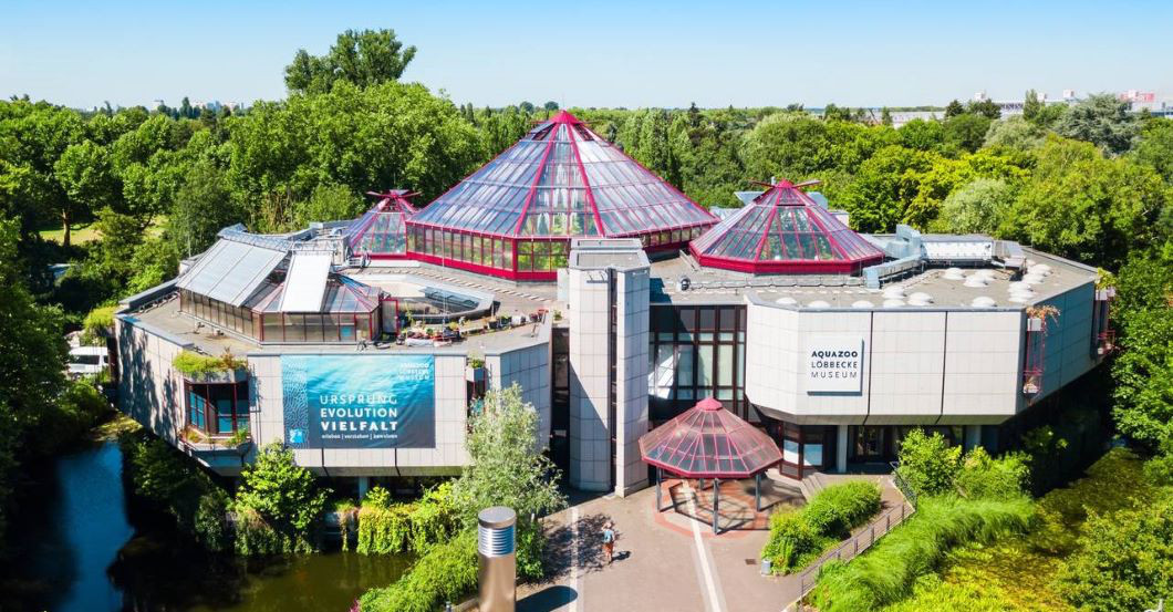 Krokodile füttern    Krokodile füttern