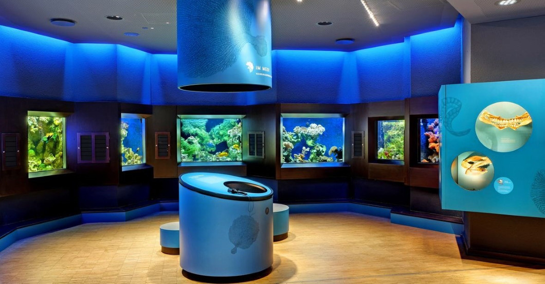 Krokodile füttern    Krokodile füttern