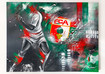  Kunstwerk FC Augsburg 
