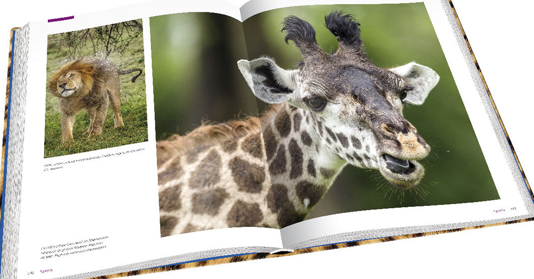  Laurie Marker Sundowner  