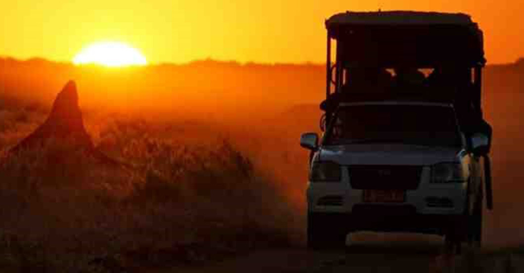  Laurie Marker Sundowner  