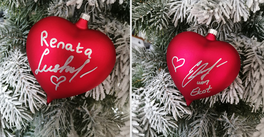  Lets Dance Profitänzer I 