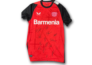  Leverkusen Trikot 24 