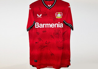  Leverkusen Trikot Team 