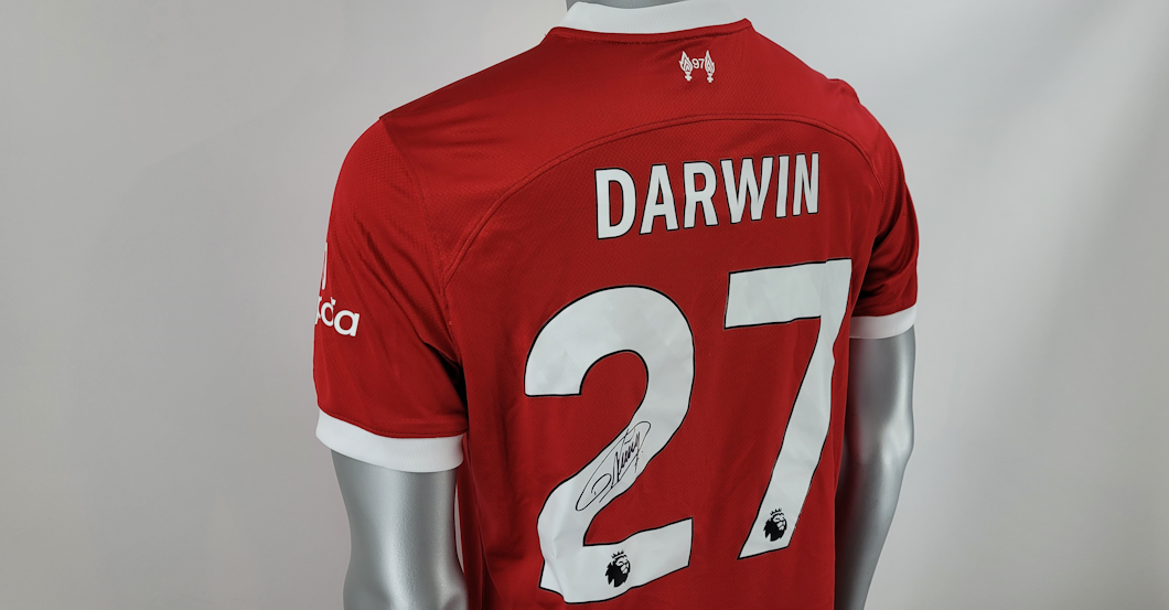 LFC-Darwin Núñez Trikot    LFC-Darwin Núñez Trikot