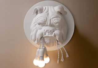  Lichtbox Ferino Hund 