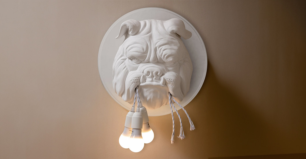  Lichtbox Ferino Hund 