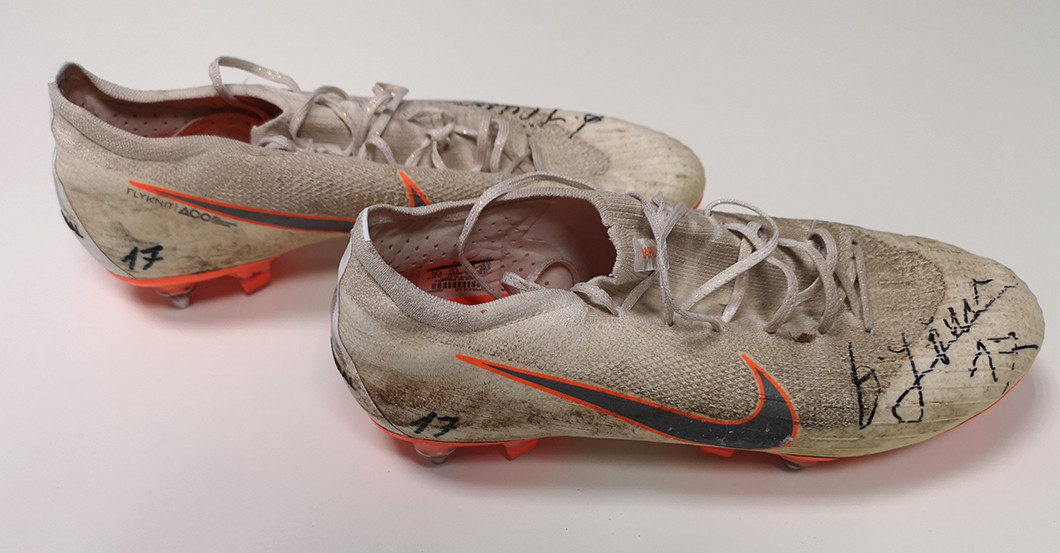 Löwen Schuhe 17   Löwen Schuhe 17