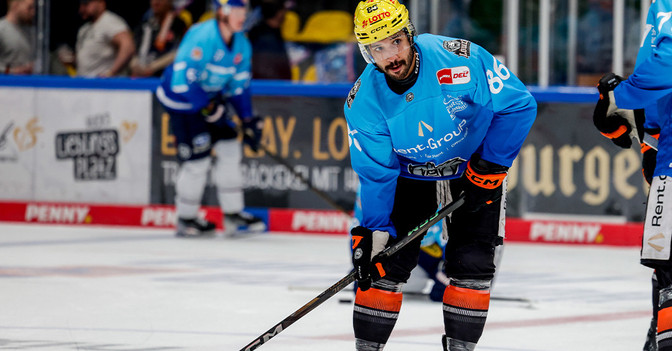 Löwen Trikot Brace   Löwen Trikot Brace