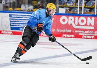  Löwen Trikot Napravnik 