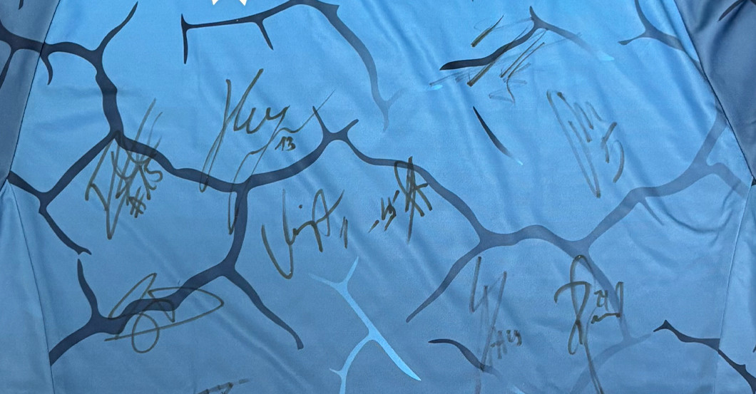  Löwen Trikot teamsigniert 