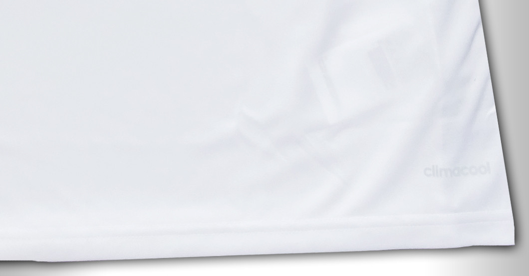  Löws Weltmeister Trikot 2 