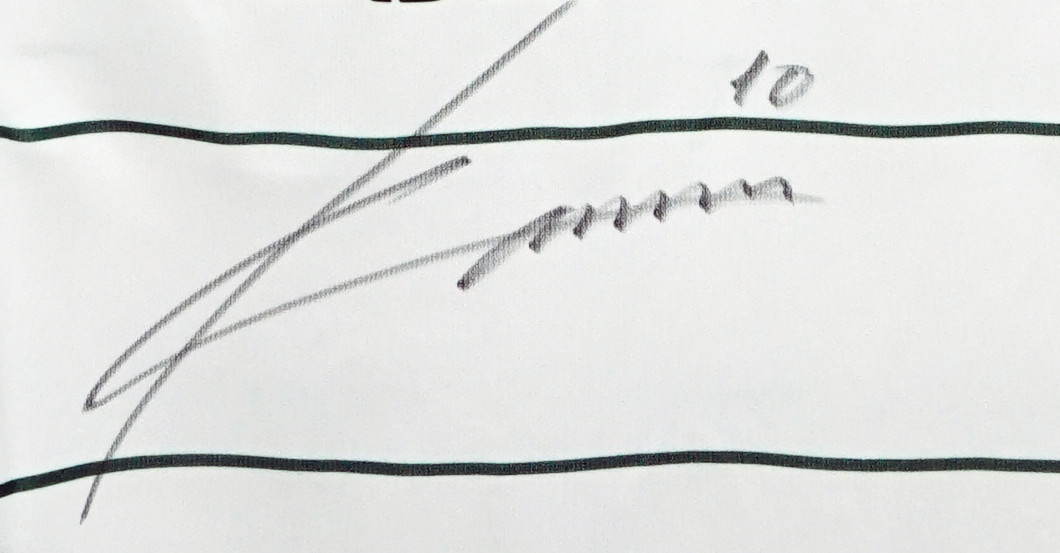 Max Kruse Werder Trikot   Max Kruse Werder Trikot