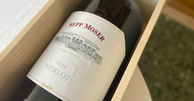Merlot Sepp Moser   Merlot Sepp Moser