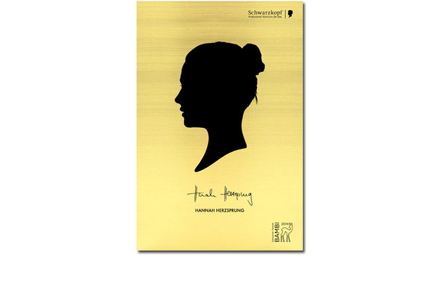  Messingtafel Herzsprung 