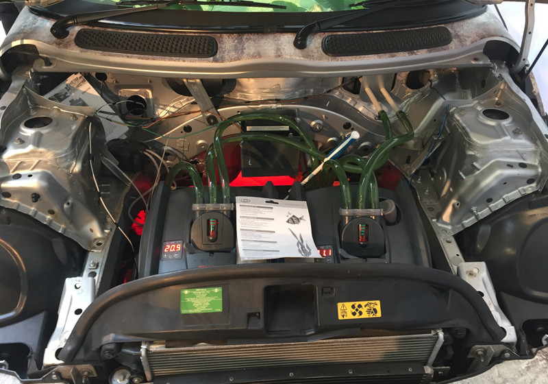  Mini Cooper Aquarium 