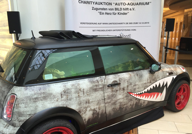  Mini Cooper Aquarium 